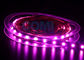 Цвет 25000K 5050 светов прокладки СИД розовый, 12/24 вольта привел светлые прокладки 12mm FPC